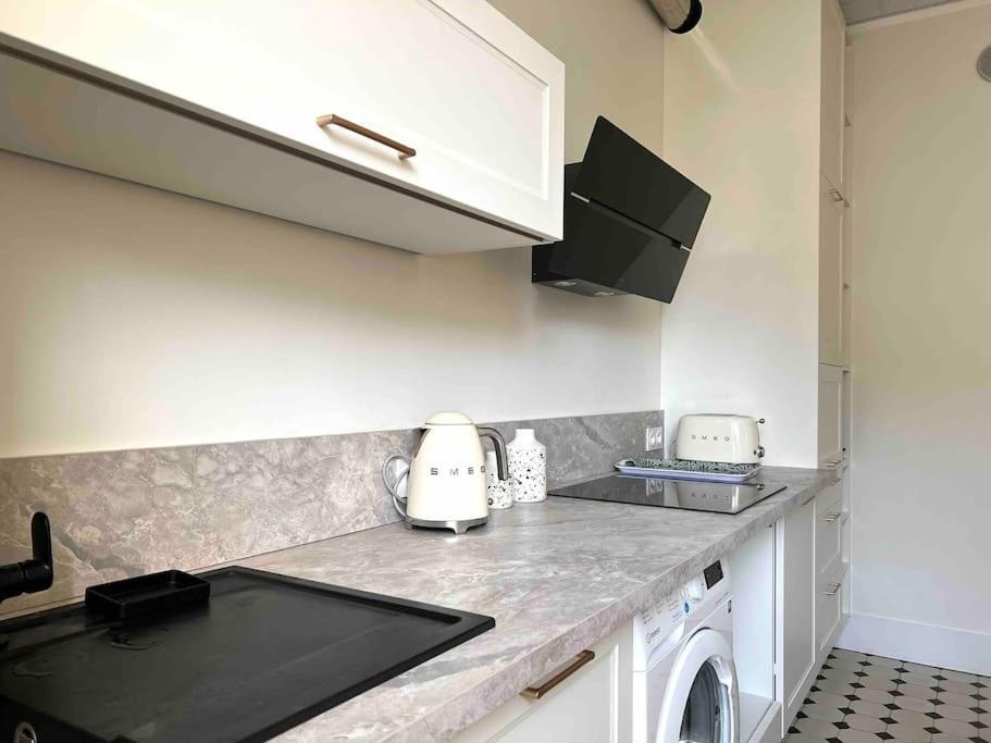 Appartement Entierement Renove Proche Gare Grenoble Dış mekan fotoğraf